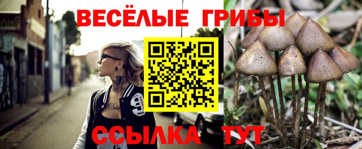 Галлюциногенные грибы Magic Shrooms Санкт-Петербург