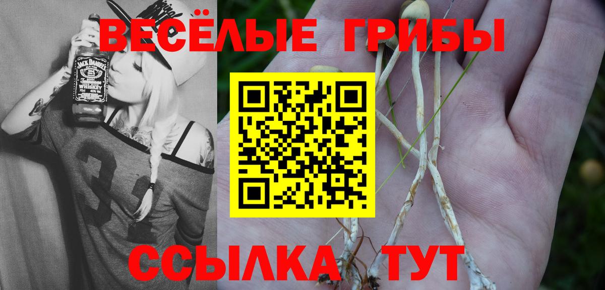 Санкт-Петербург  Галлюциногенные грибы прущие грибы  сколько стоит  Вход с VPN 
